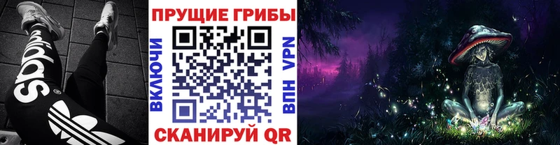 Купить  Лагань  Псилоцибиновые грибы GOLDEN TEACHER 